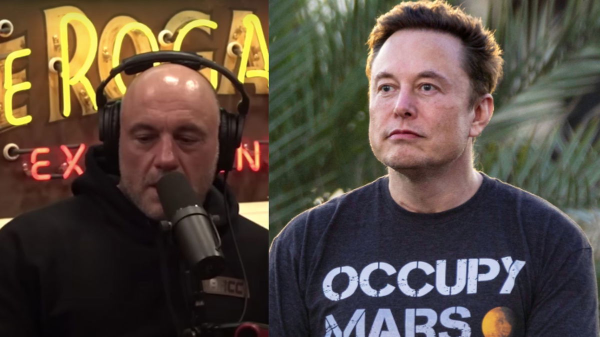 маск у джо рогана. илон маск джо джо.