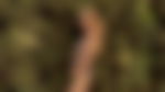 article-image