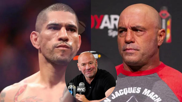 Aalex Pereira, Joe Rogan, Dana White