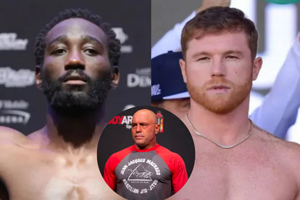 Joe Rogan Confirms Canelo Alvarez's Fans' Biggest Fear for Terence Crawford  Fight - EssentiallySports