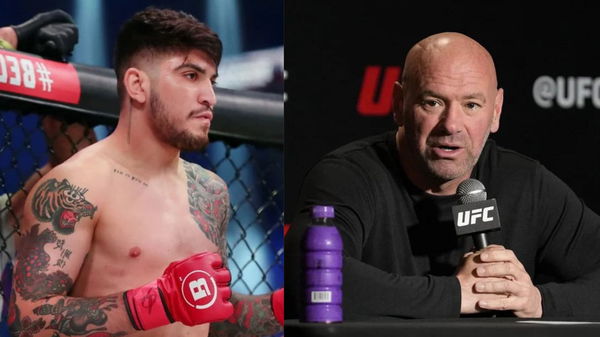 Dillon Danis; Dana White