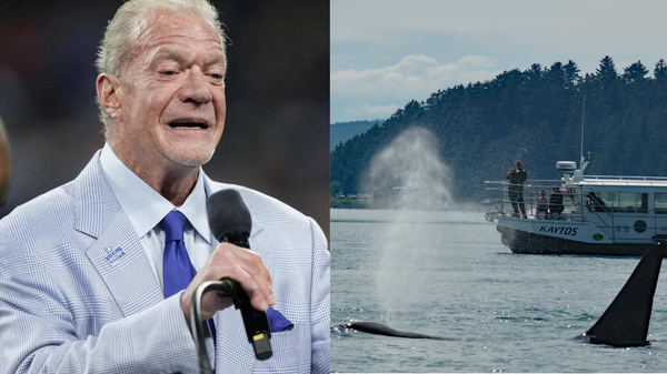 What is Jim Irsay's net worth?