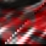 article-image
