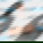 article-image