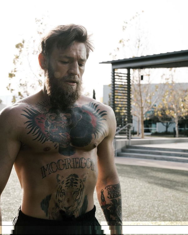 Ripped Conor McGregor looks in amazing shape for UFC fight vs Cowboy  Cerrone as he poses shirtless and in check suit – The US Sun