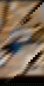 article-image
