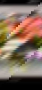 article-image