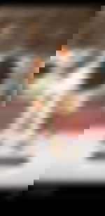 article-image
