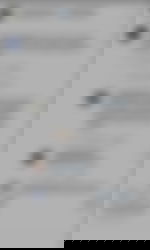 article-image