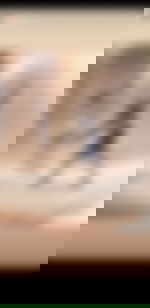 article-image