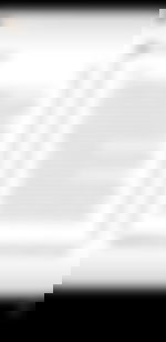 article-image