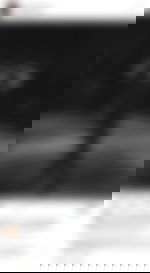 article-image