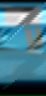 article-image