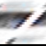 article-image
