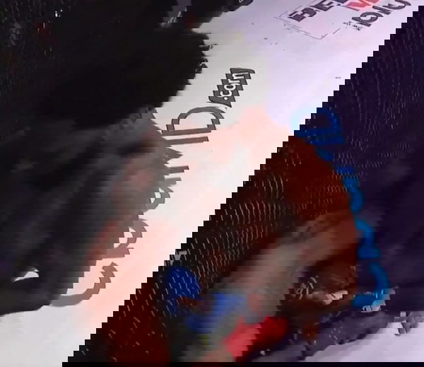 feature-image
