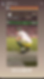 article-image