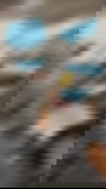 article-image