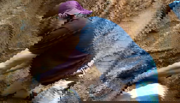 feature-image