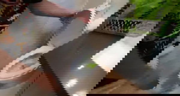 feature-image