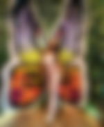 article-image