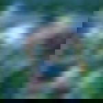 article-image