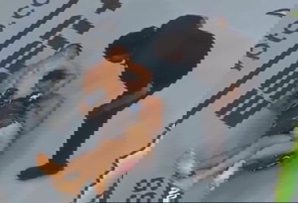 feature-image