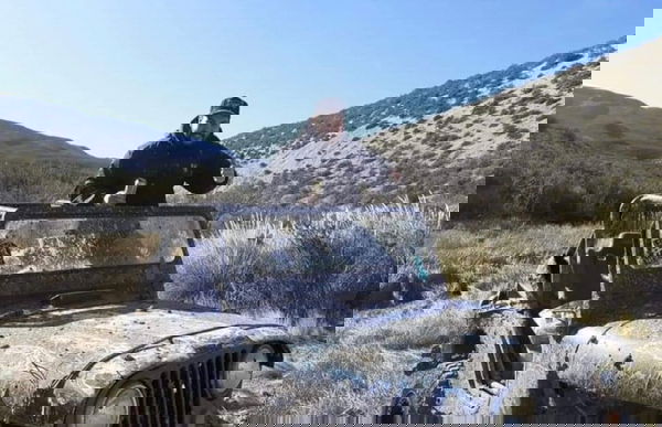 article-image