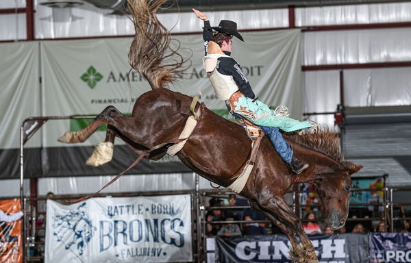 Bradlee Miller