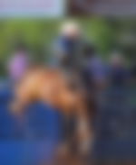 article-image