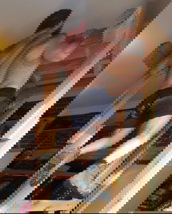 feature-image