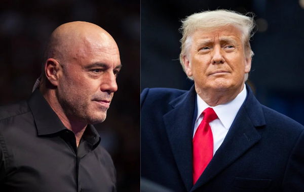 Joe Rogan and Donald Trump