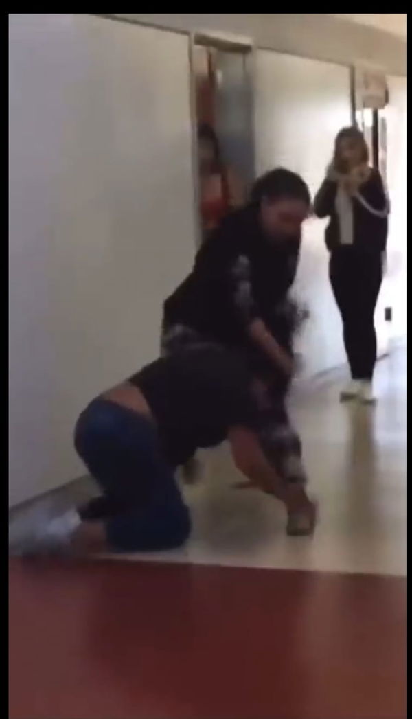 Girl Fight Porn Videos Wwe - VIDEO: Bystander Intervening in WWE Style Fight Between Two Girls Gets  Caught in Crossfire - EssentiallySports