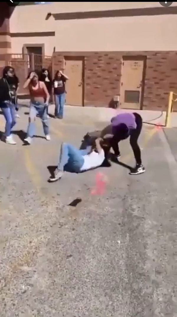 Girl Fight Porn Videos Wwe - VIDEO: High School Girl Takes Down Three Classmates in Shocking WWE-Style  Moves - EssentiallySports