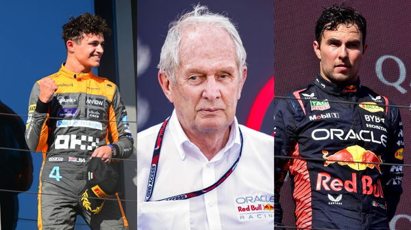 Lando Norris and Helmut Marko and Sergio Perez