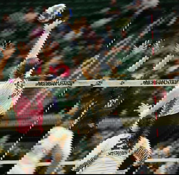 feature-image