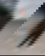 article-image