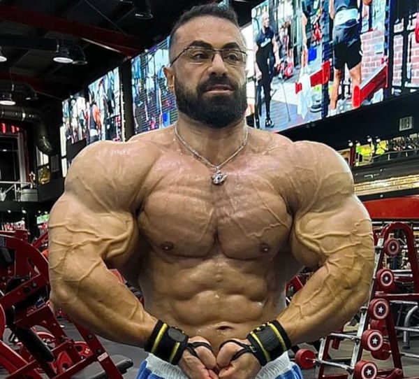 bodybuilding:Behrouz Tabani