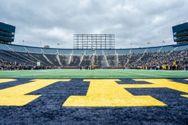 Michigan Wolverines Logo