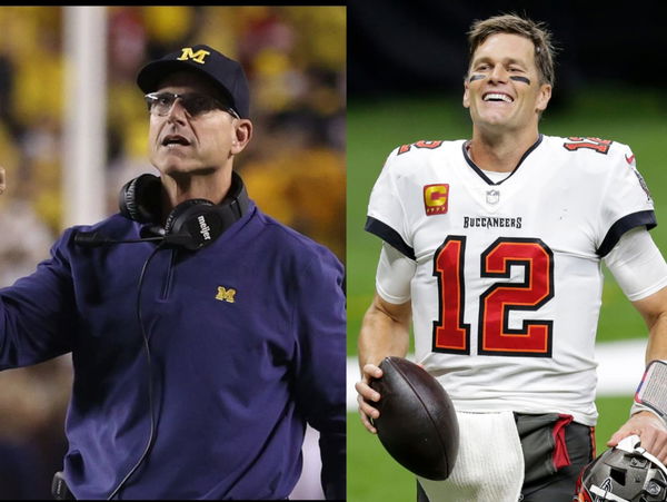 Jim Harbaugh, Tom Brady