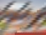 article-image