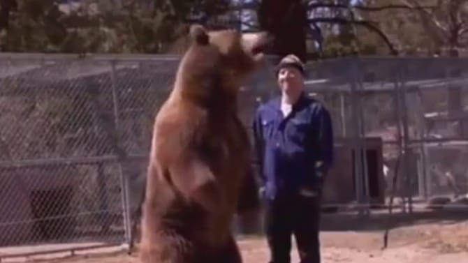 Former Boxing World Champ Shows No Mercy to Man for Foolishly Getting Attacked by a Bear