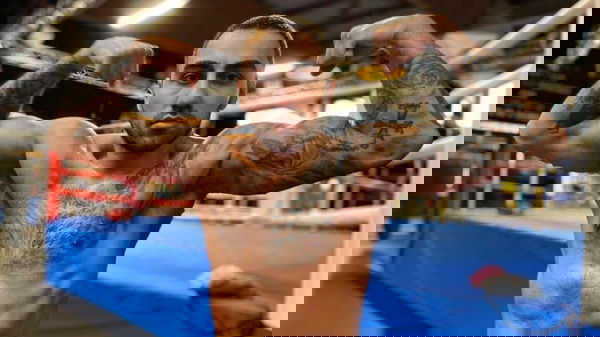 feature-image