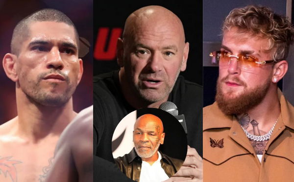 Alex Pereira; Dana White; Jake Paul; Mike Tyson