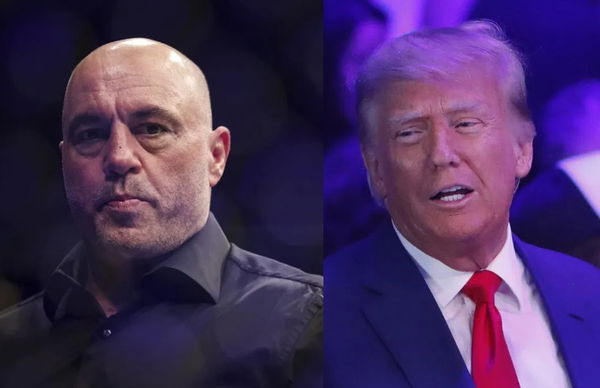 Joe Rogan and Donald Trump