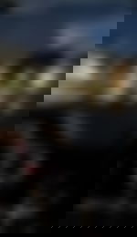 article-image