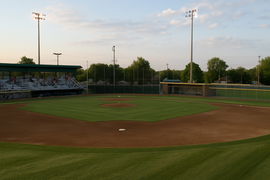 Baseball Local Ball Park