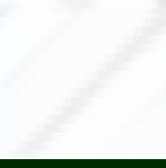 article-image