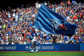 Ace Blue Jays Mascots
