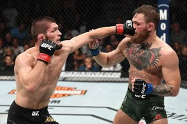 Khabib Nurmagomedov vs Conor McGregor UFC 229