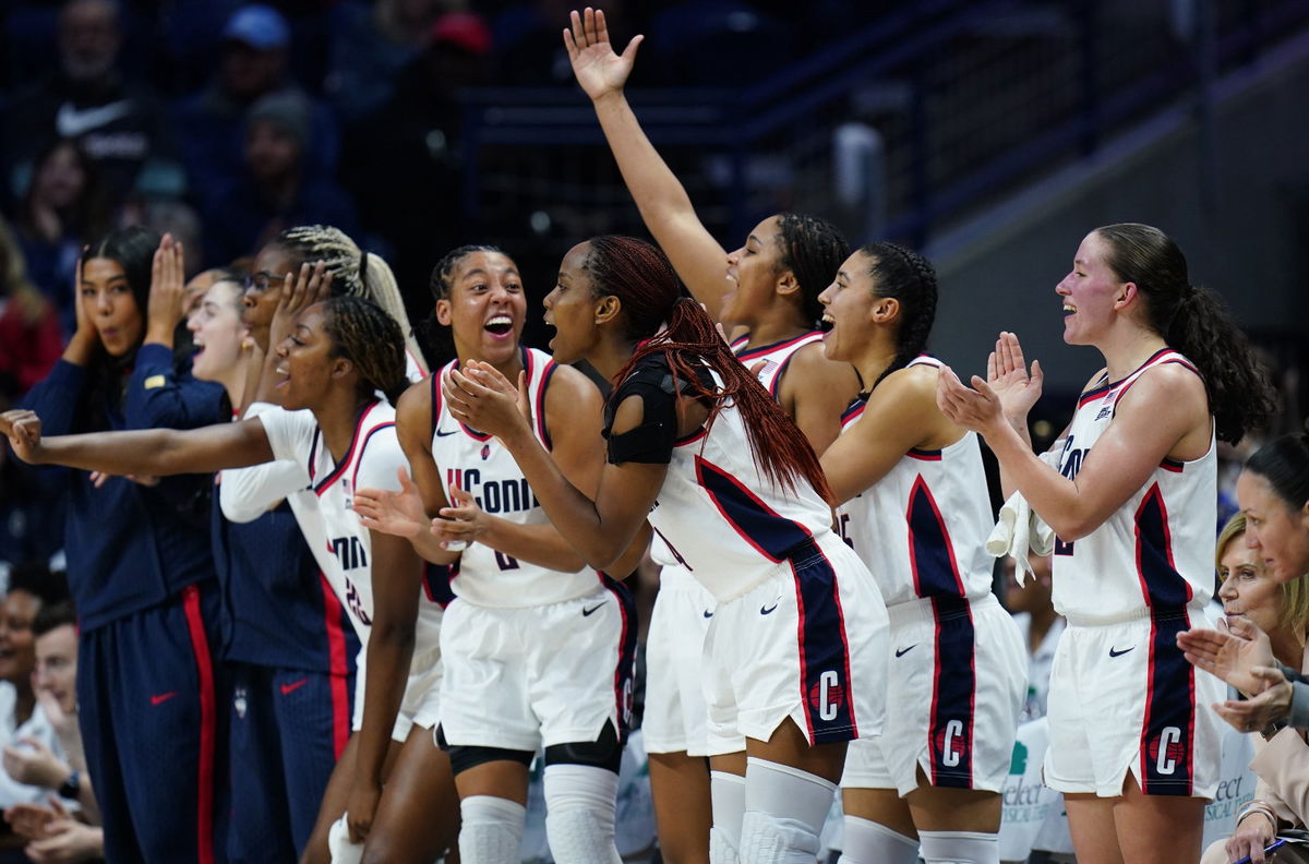 Uconn Huskies